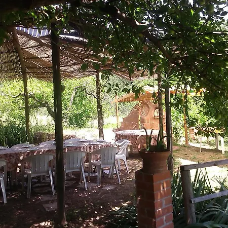Molino De *