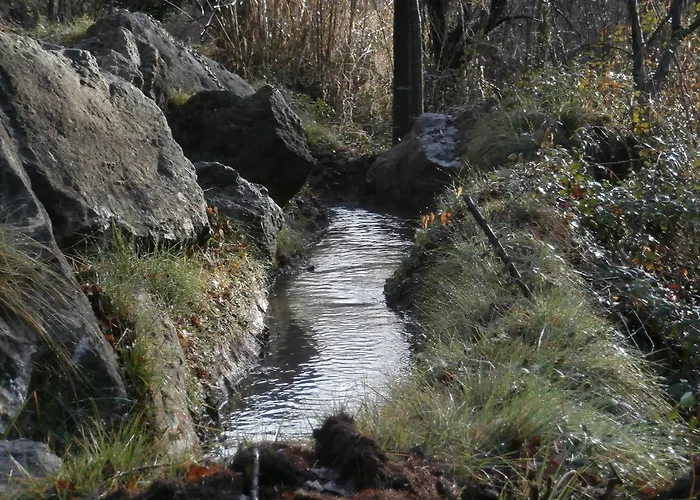 Molino De Vandrarhem Olba